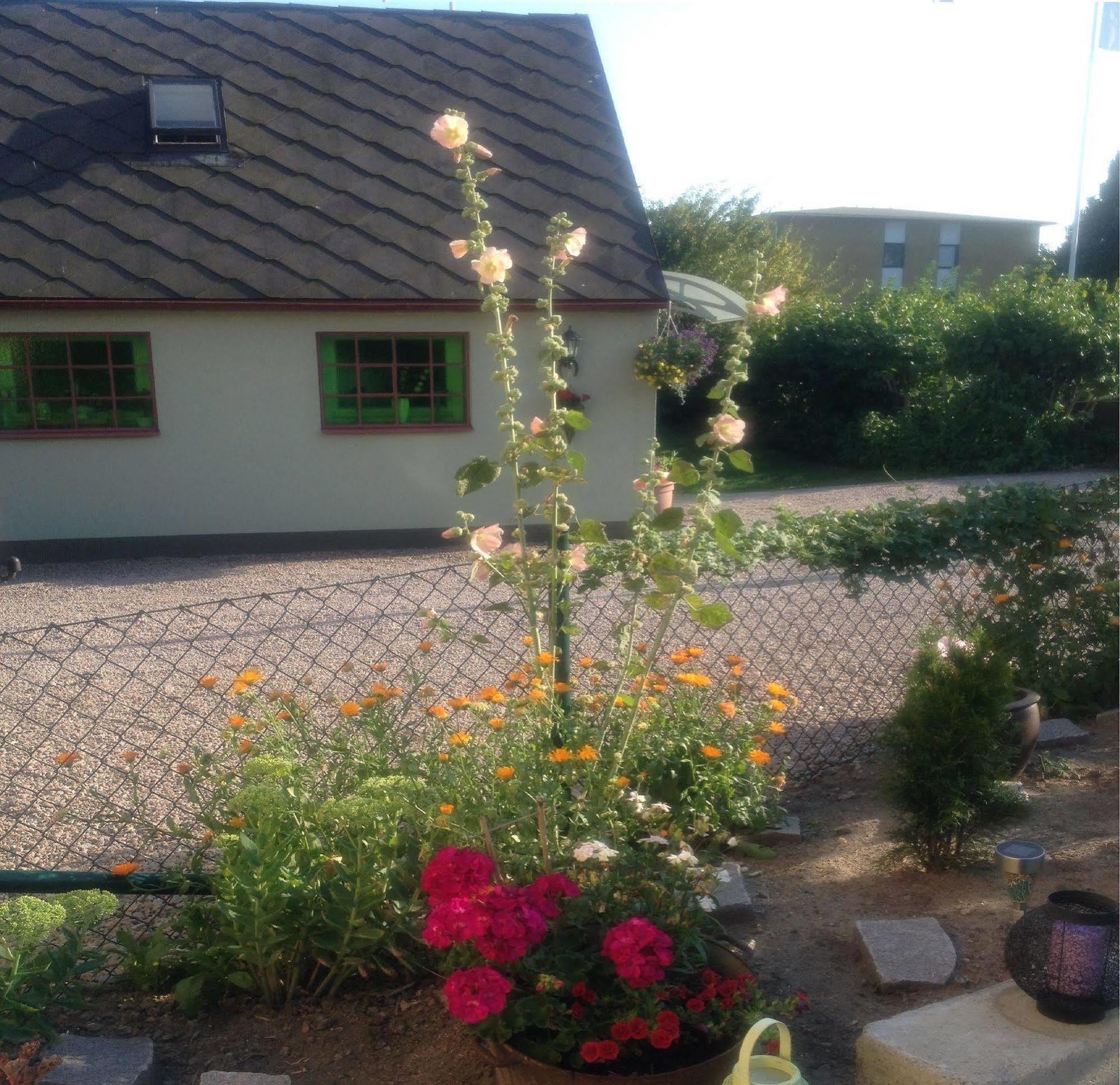 Vivans Bed And Self Catering Kristianstad Exterior photo